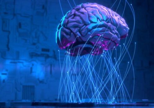 programlanmış beyinler