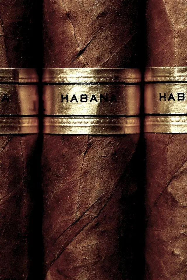Ultimate Guide to Cuban & Private Cigars 2025