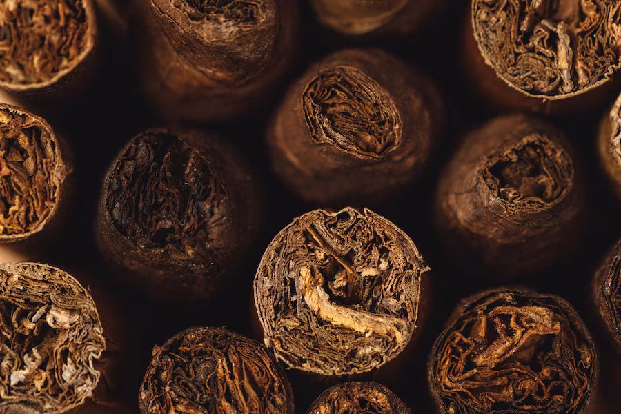 premium cigar online