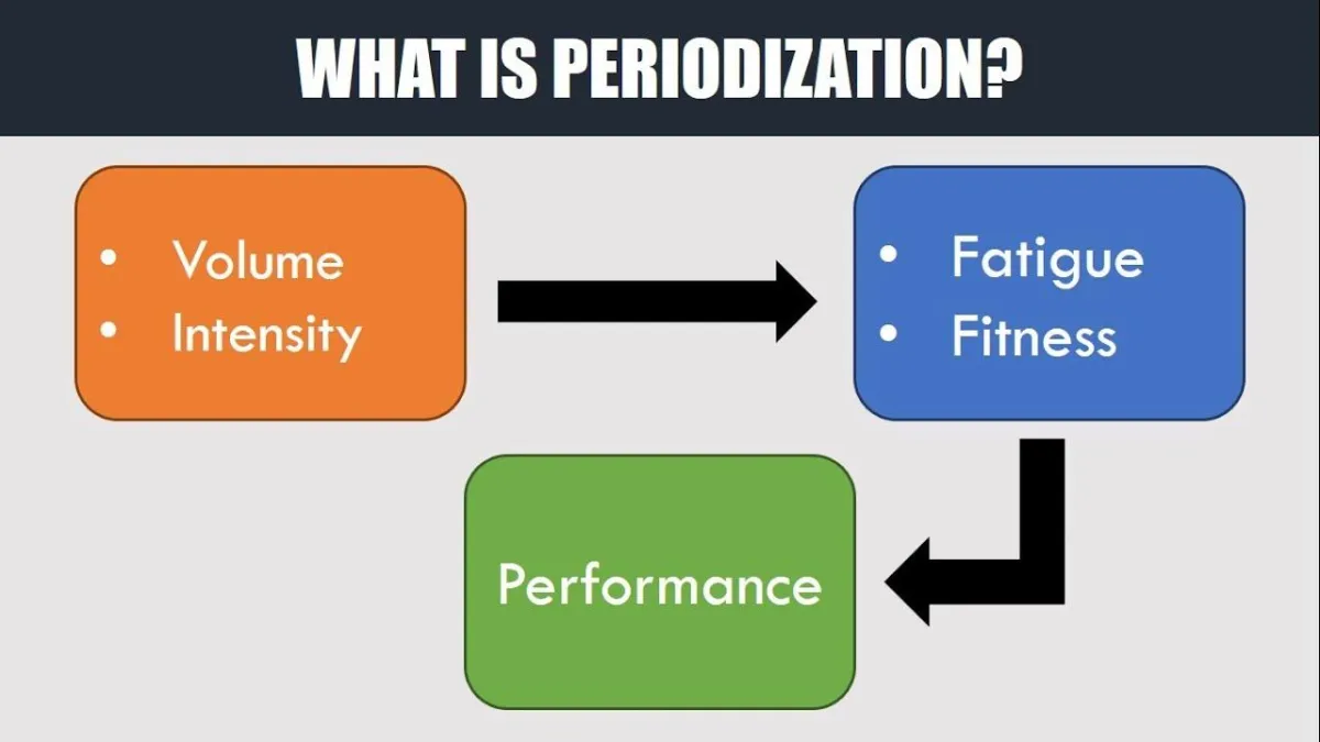 periodization 101