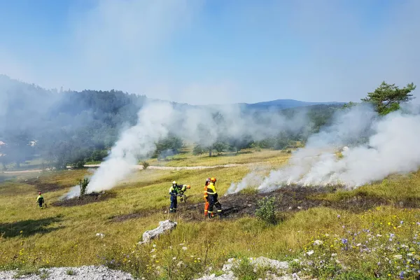 Wildfire Smoke Damage in California: What Homeowners Need to Know About Insurance