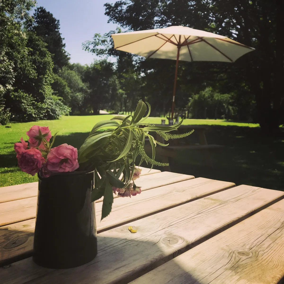 When Every Day Feels Like a Saturday: The Summer Rush at the Café