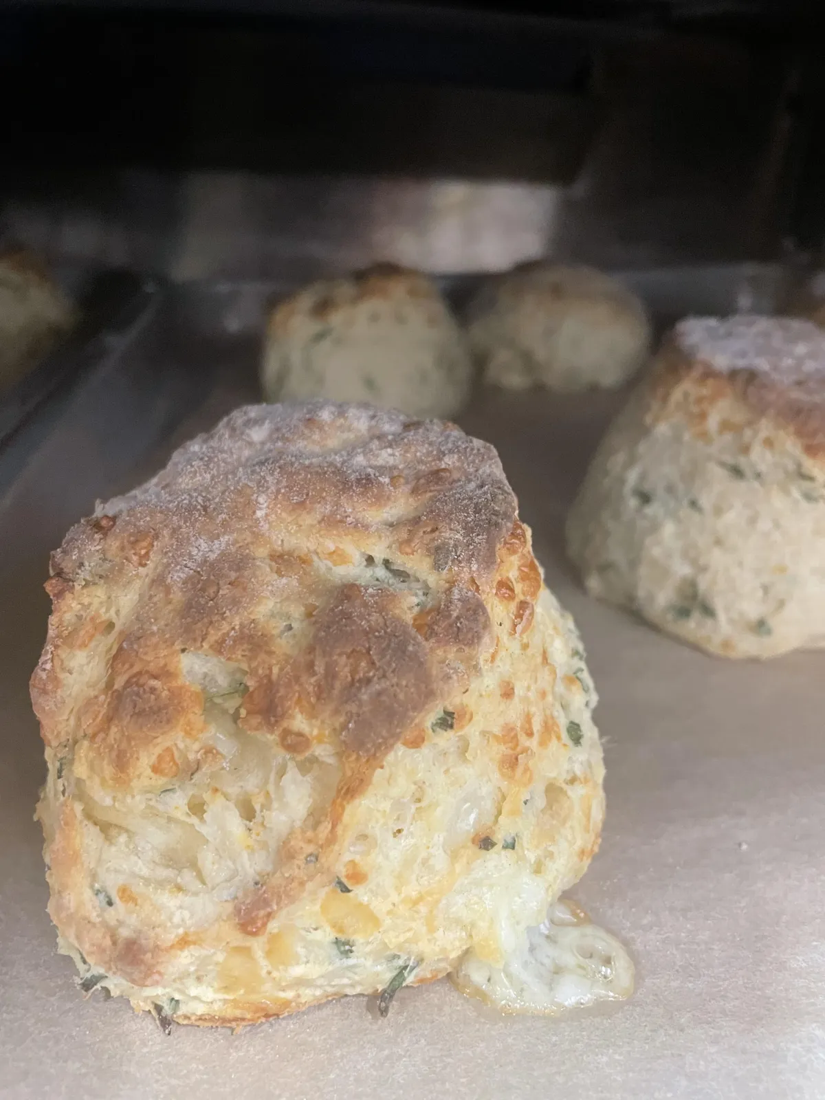 Cheese Scones & Quiet Moments