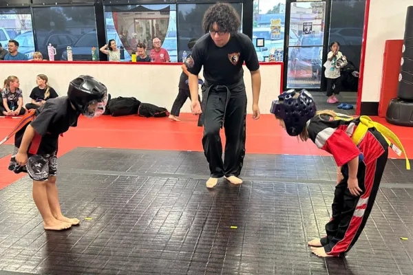 Self-Awareness Deep Bow