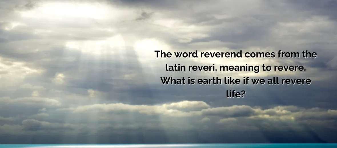 Reverently To You I Say...