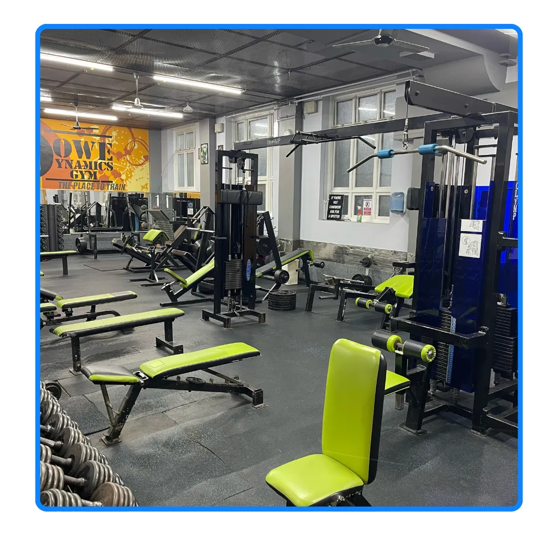 Top 5 Reasons Wealthy Professionals Choose DOWE Dynamics for Personal Training in Archway