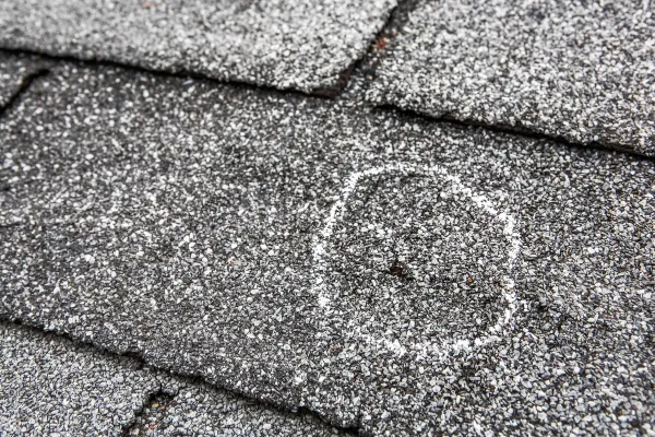 Roof Damage: What to Do When You Find It on Your Home