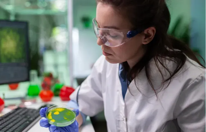 Entzündungen LOSWERDEN und Arterien schützen!