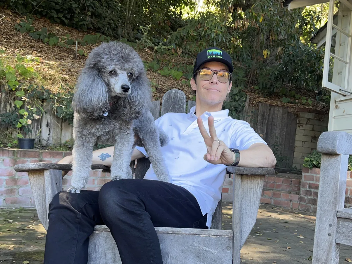 Dogs, Film, and Football
