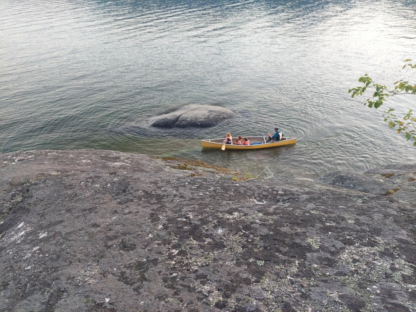 Why ADHD Runs in Families (And It's Not Just Genetics)