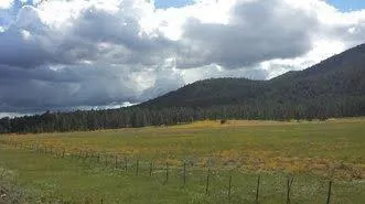 A green meadow with small orange and yellow flowers located near Mormon Lake, AZ, are framed on the right by distant mountains covered in shadows by billowing white and grey clouds.