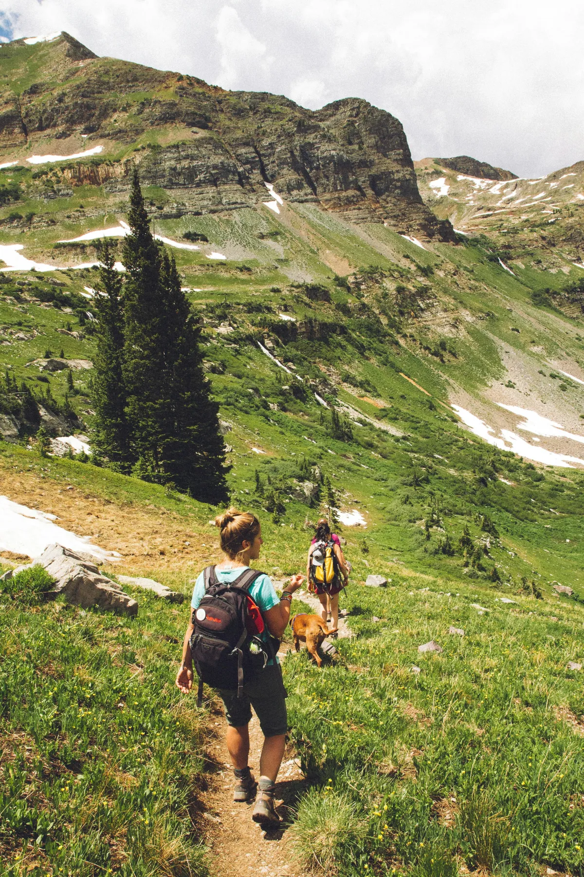 Two people are hiking in the hills, green grass is on both sides of the dirt trail, with trees in the distance.