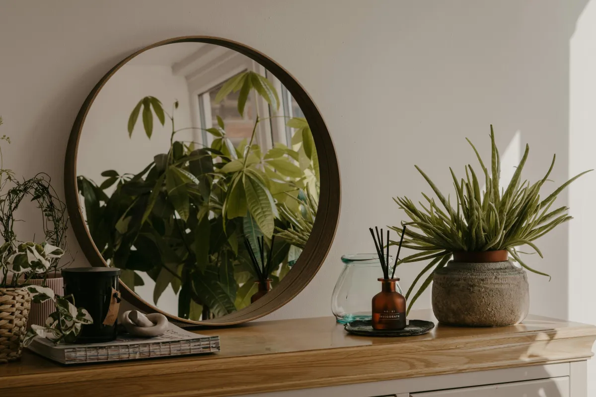 On a wooden mantle is placed a houseplant and a mirror reflecting a different type of plant
