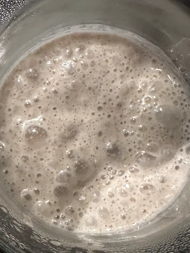 sourdough, sourdough living, starter, rye starter, creating a starter, rye sourdough starter