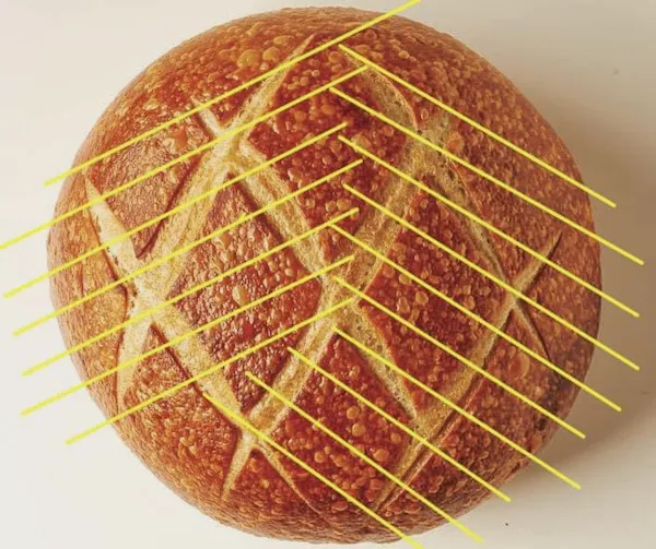 sourdough, sourdoughliving, how to cut a boule
