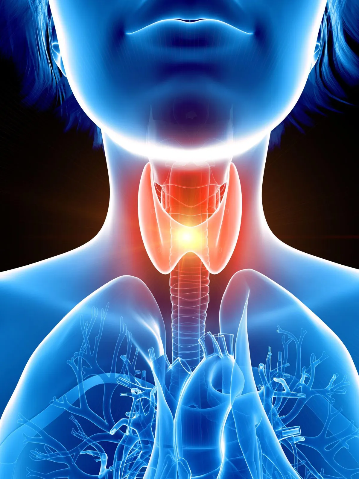 thyroid