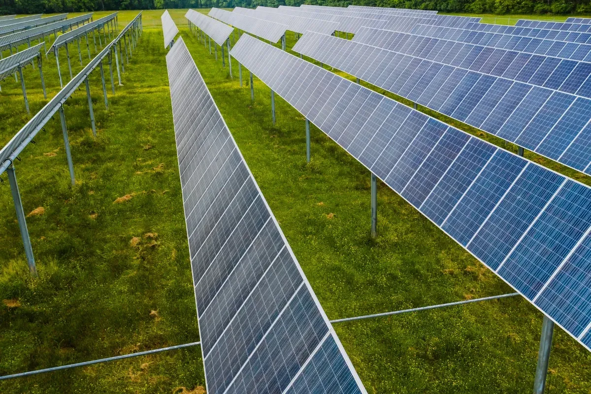 Ground-mounted solar panels arranged in a field