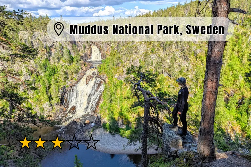 Muddus National Park - Old forest and Muddusfallet
