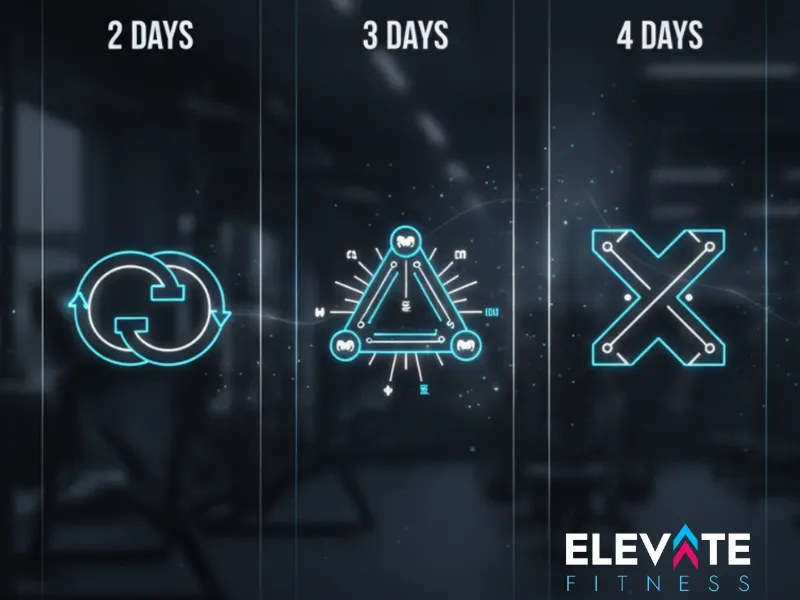 Certified Fitness Trainer Explains | Best Training Split According to Training Frequency (2/3/4/5 Days Per Week)