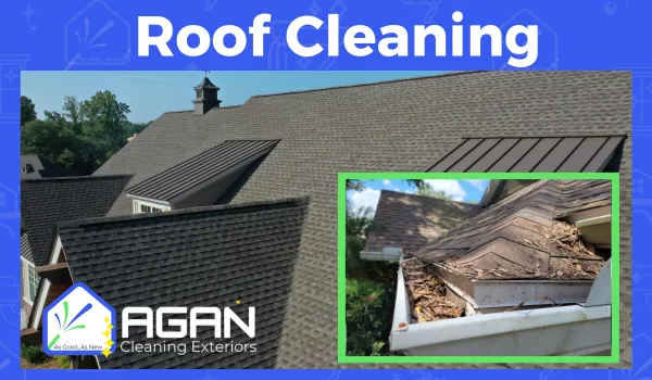 roof cleaning