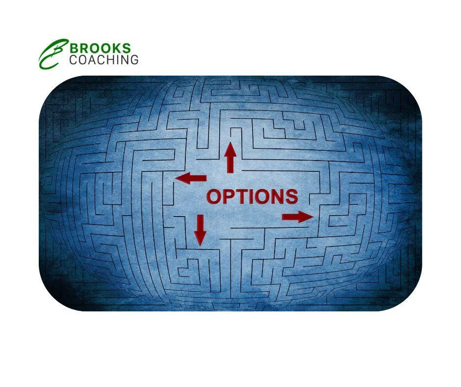 The Goldilocks Guide to Decision-Making