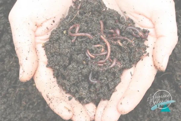 One worm on a table