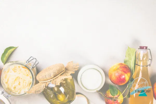 Brewing Kombucha Gut Biome