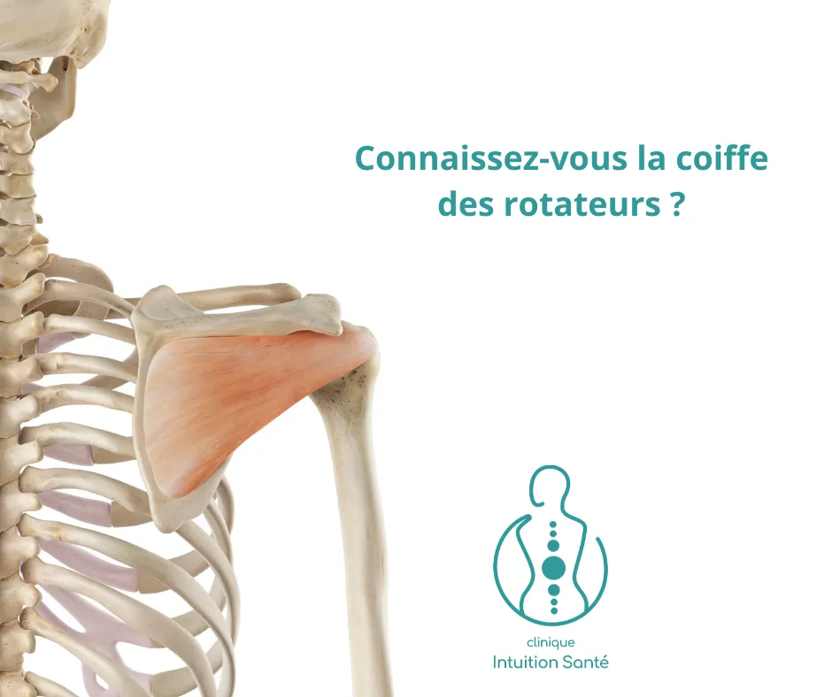 Connaissez-vous la coiffe des rotateurs ?