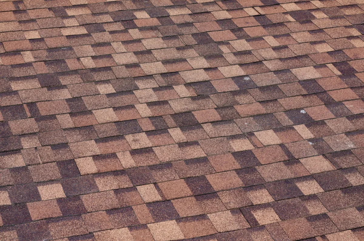 Shingle Roofs