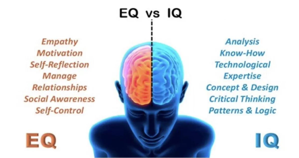 eq vs iq