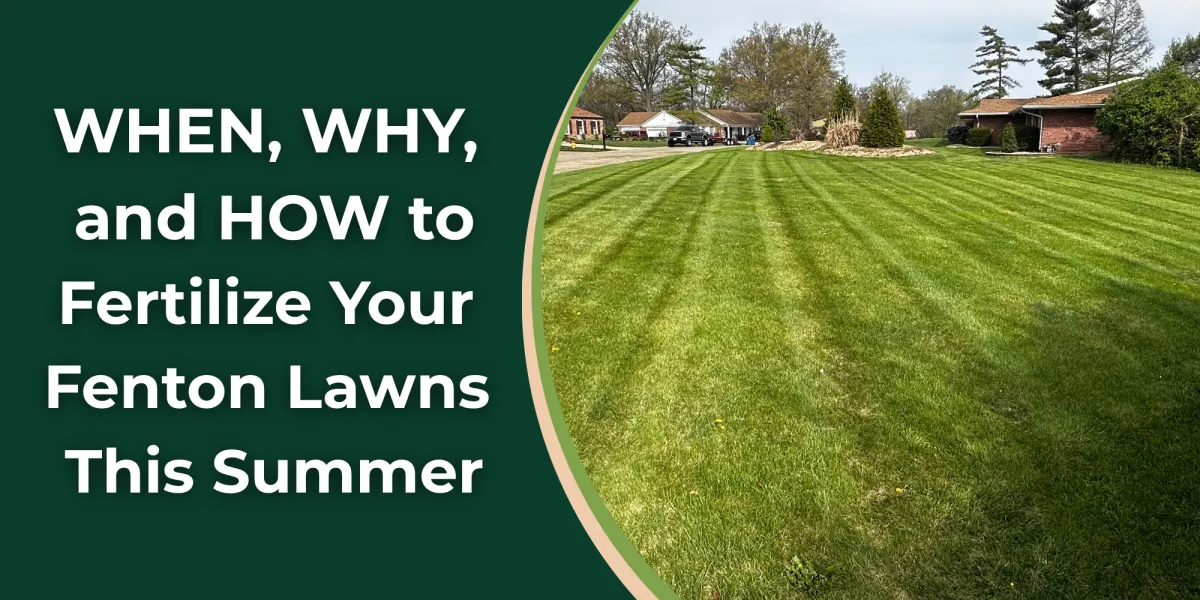 When, Why, and How to Fertilize Your Lawns This Summer | Lawn Fertilization Fenton

