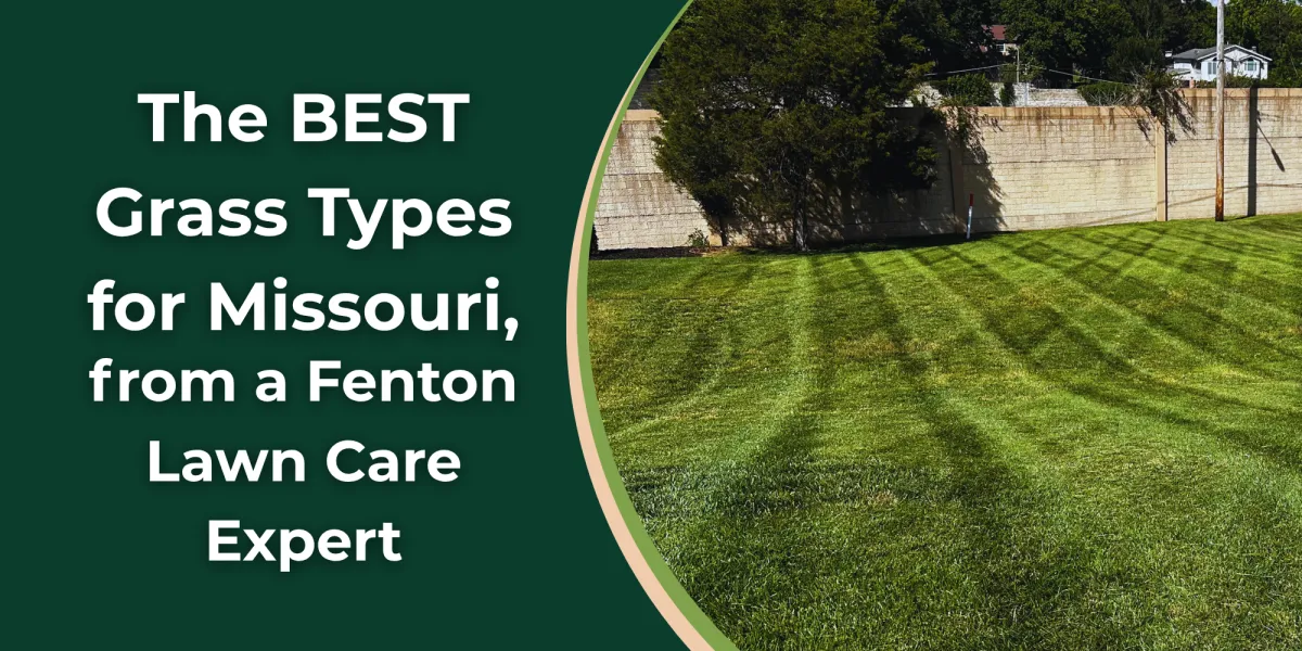 fenton lawn care