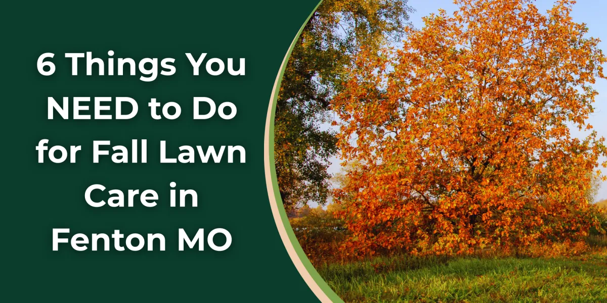 lawn care fenton mo