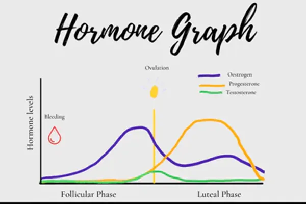 Hormone Graph