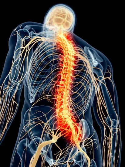 Chronic Pain, Acute Pain, Muscle Pain, Joint Pain, Nerve Pain, Fibromyalgia, Myofascial Pain Syndrome