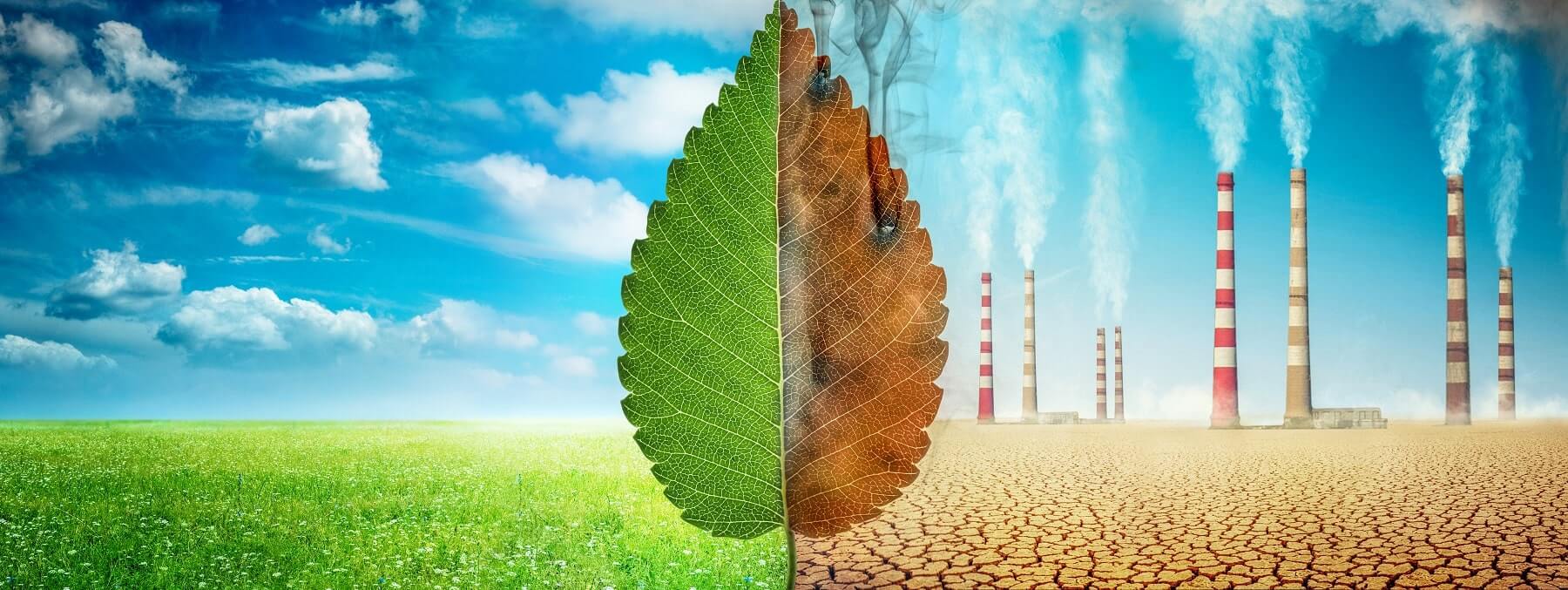 Plano de Sustentabilidade Passo a Passo: Guia Completo para sua Empresa