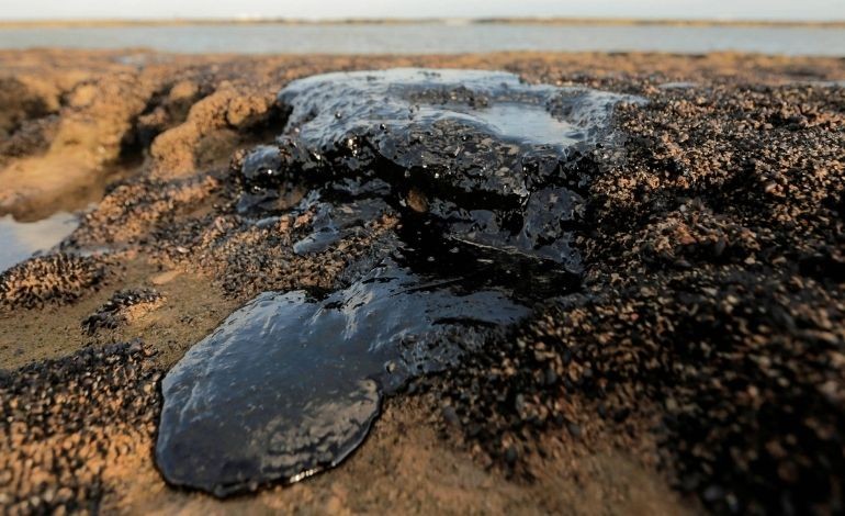 Passivo Ambiental em Empresas: Como Identificar Riscos e Proteger Seu Negócio