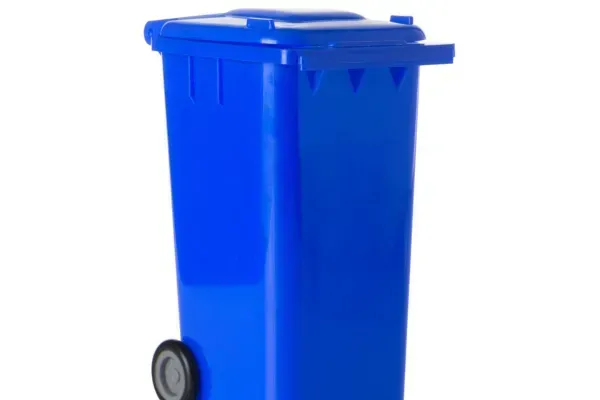Why Trash Bin Cleaning in Tampa, FL Matters | Keep Your Home Cleaner & Safer