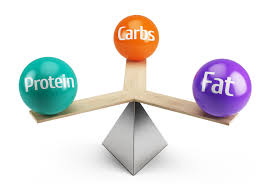 macros nutrition protein Coach Haris