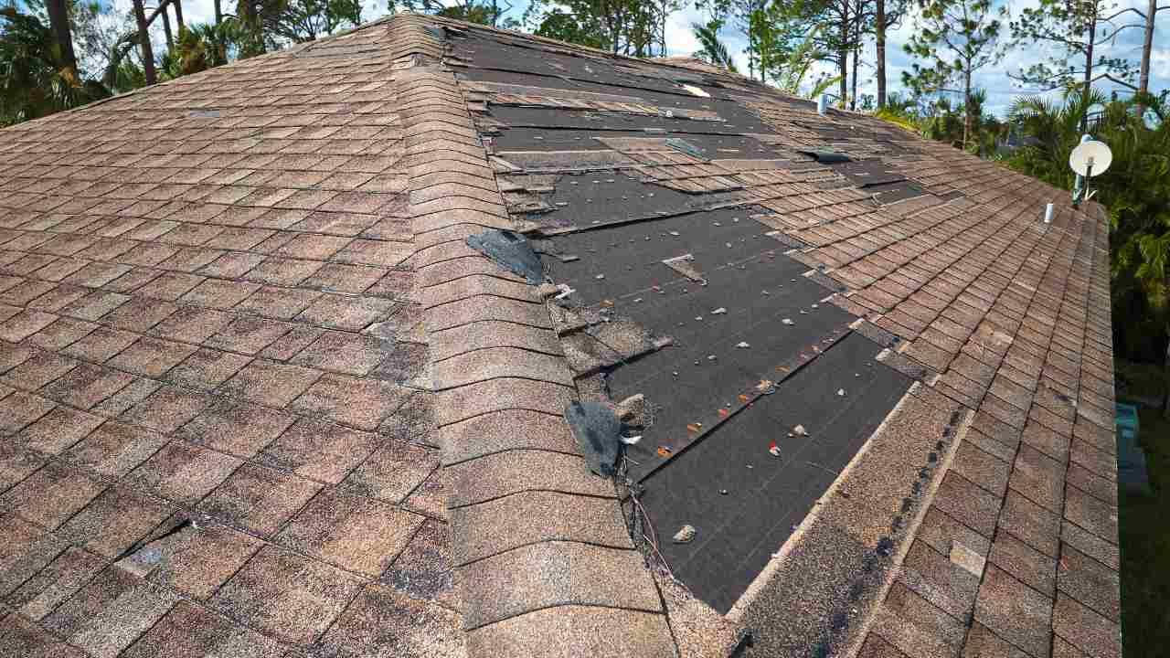 Your Roof Just Took Damage — What Happens Next?