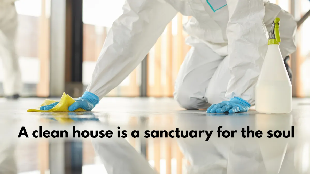 Why DIY Cleaning Isn't Enough