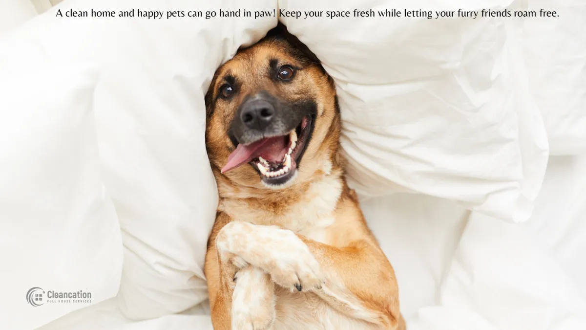 A Pet Owners’ Guide to Keeping A Home Clean