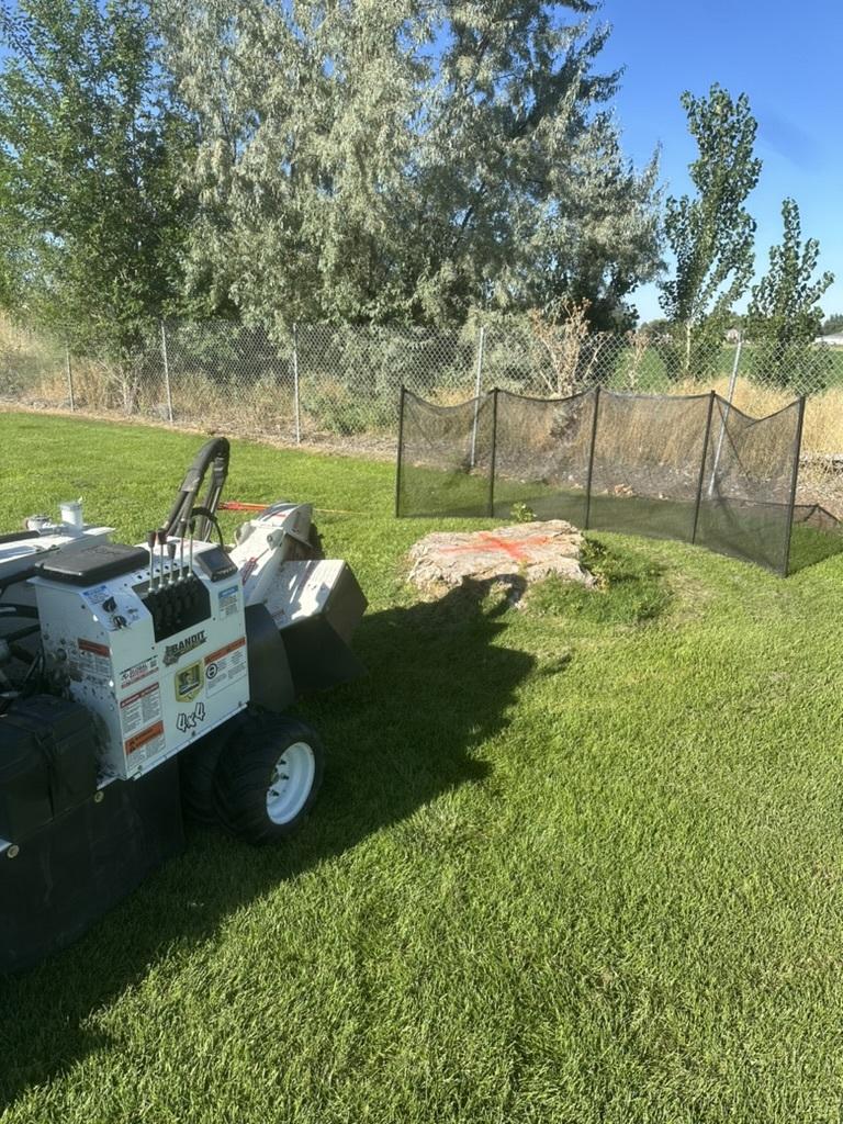 What Affects the Cost of Stump Grinding?