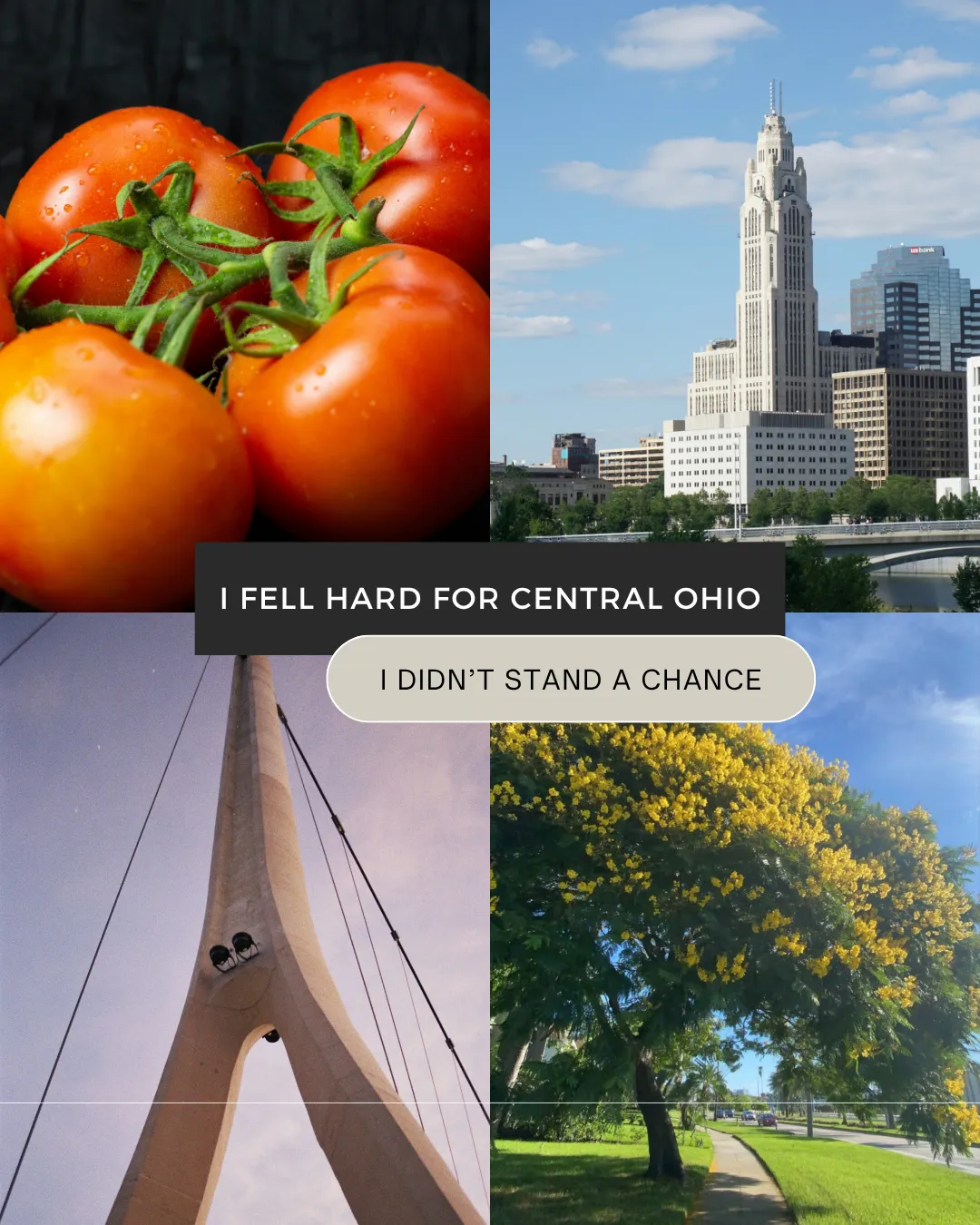 Hidden Gems Around Central Ohio