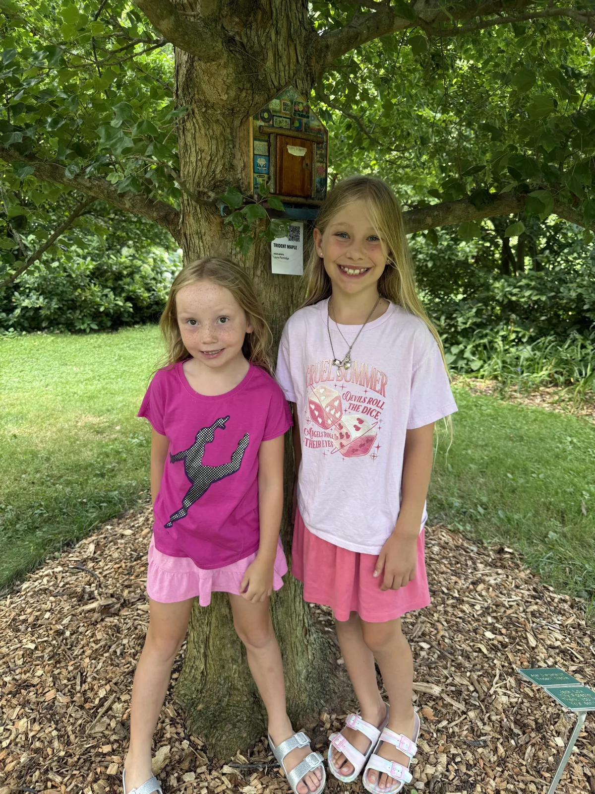 Discover a Touch of Magic in Clintonville