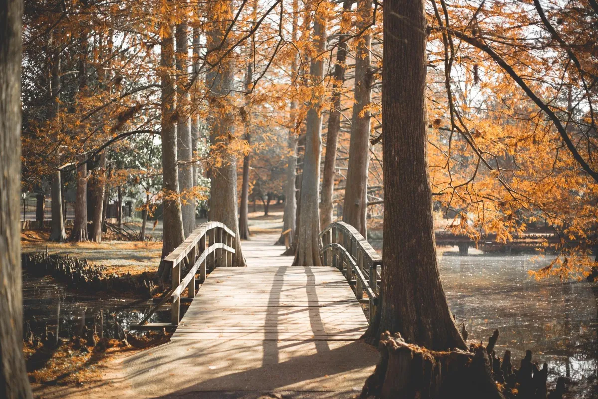 The Power of a Destination-Free Solo Walk