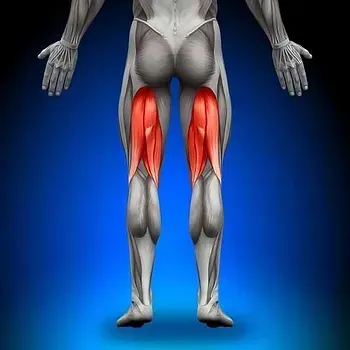 HAMSTRINGS AND HIP MOBILITY