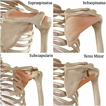 TIPS ON STRENGTHENING THE ROTATOR CUFF