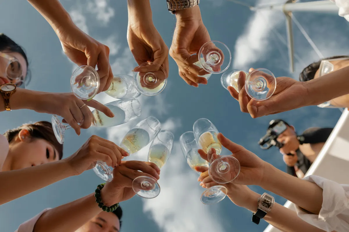Group of friends toasting.
