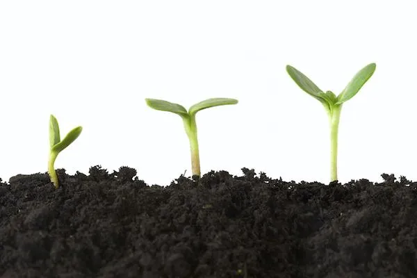 How do you grow as a person and become a better version of you
